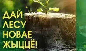 Акция "Дай лесу новае жыццё"