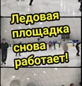 Активные выходные гимназистов