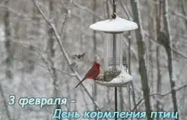 3 февраля - Всемирный день кормления птиц