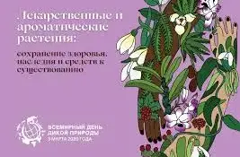 Лекарственные и ароматические травы: сохраняя здоровье, наследие и средства к существованию