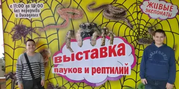 Посещение выставки живых пауков и рептилий "Инстинкт хищника"