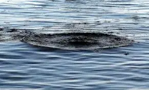 Ребенка оставили без присмотра в деревне — он погиб