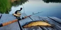 Лето - время любимой рыбалки
