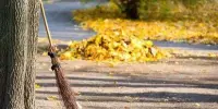 Субботник в гимназии