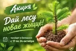 Акция "Дай лесу новае жыццё!"