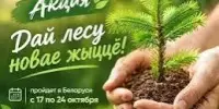Акция "Дай лесу новае жыццё!"